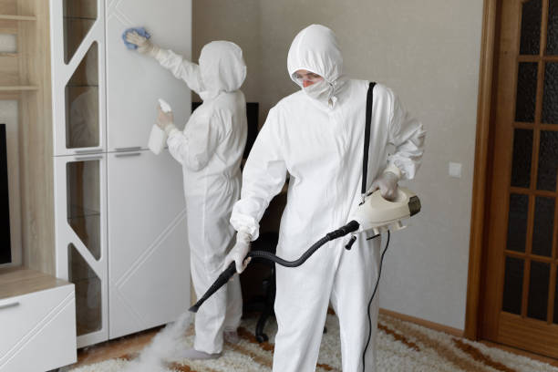 24/7 Emergency Odor Removal experts in West Fork, AR
